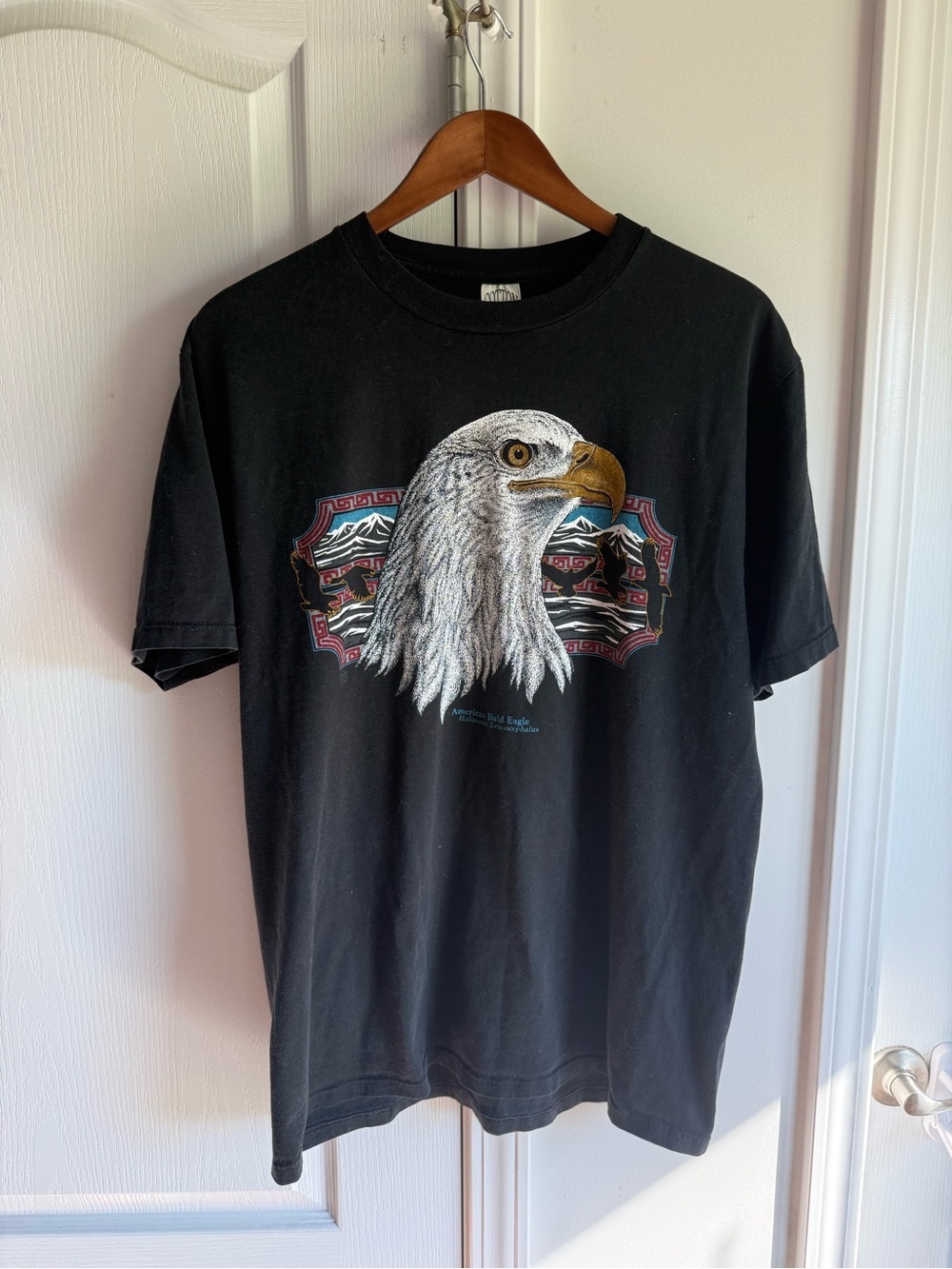 Vintage Black Eagle Graphic Tee - Men size large